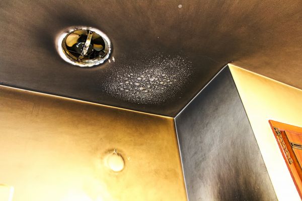 Cost of Smoke Damage Remediation in Parker